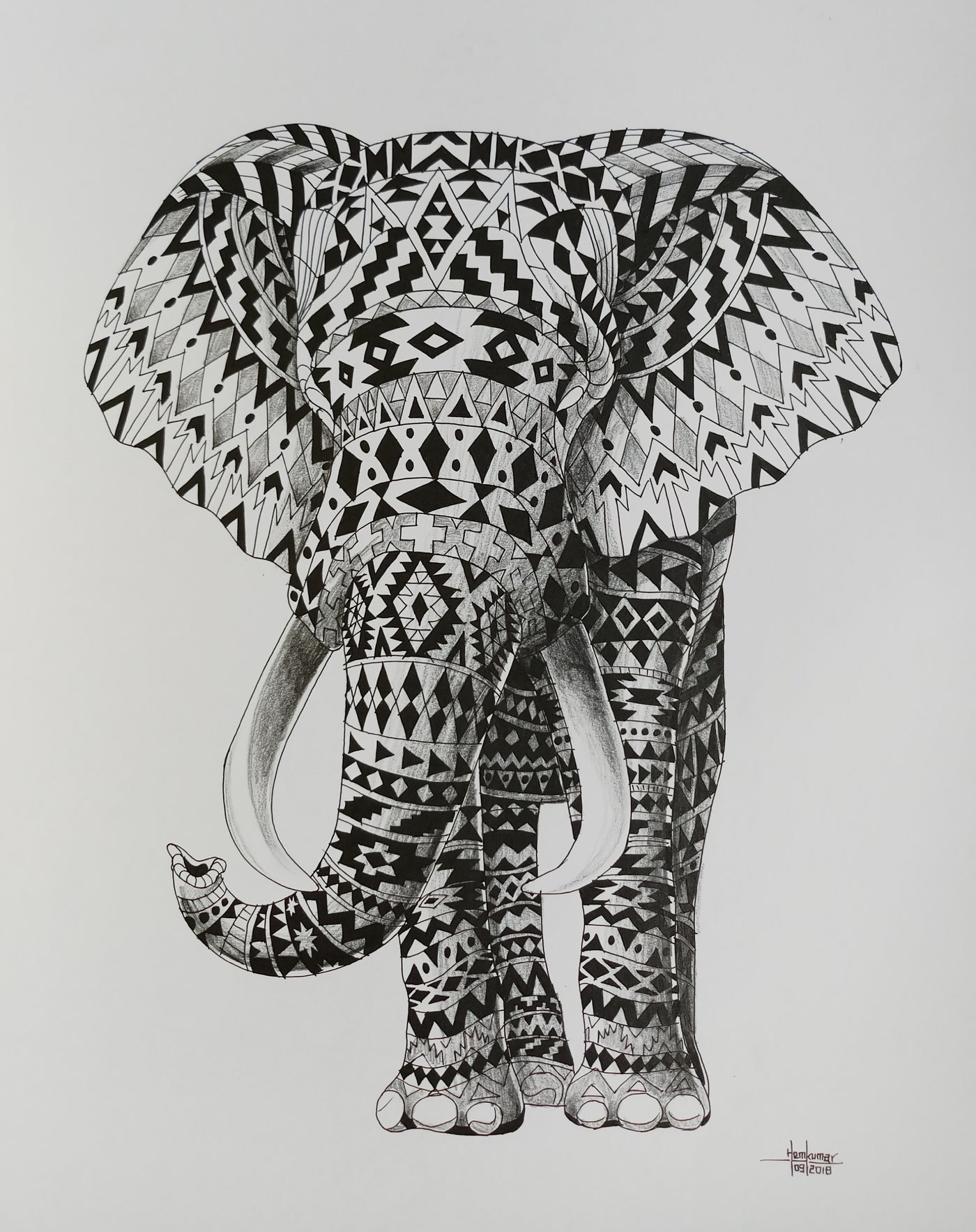 Elephant4